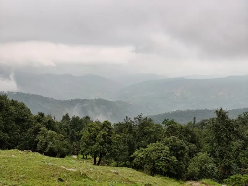Binsar's 2 day Treks in Uttarakhand