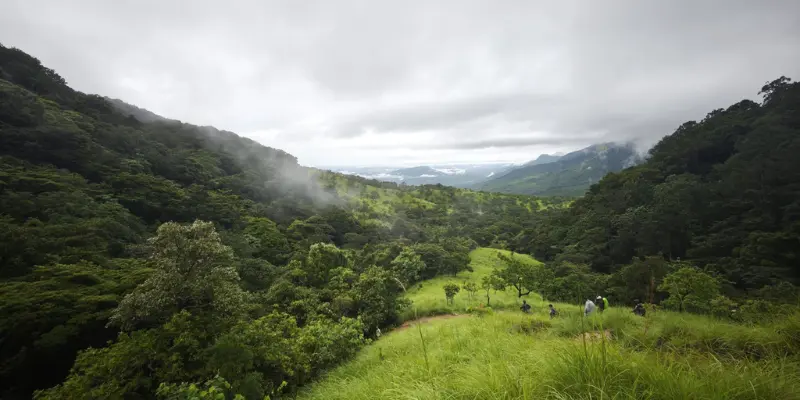 Agasthyakoodam Trek View View of Agasthyakoodam Trek