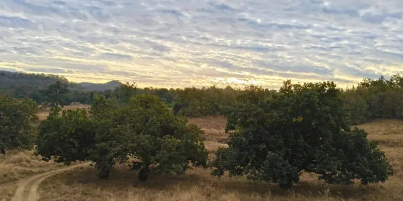 View of Ambabarwa Wildlife Sanctuary