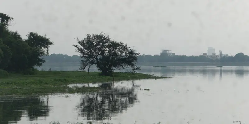 View of Ambazari Biodiversity