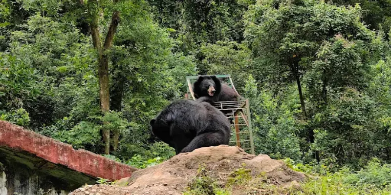 View of Assam state zoo cum botanical garden