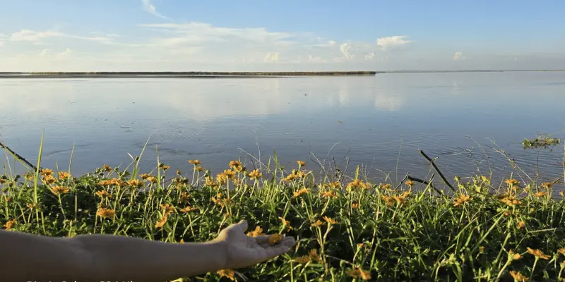 Baghmora Eco Camp View View of Baghmora ec camp