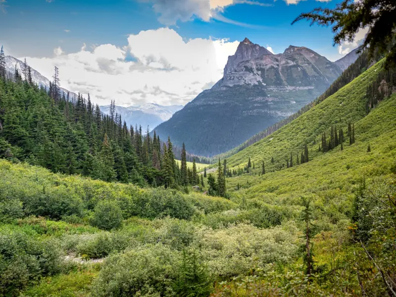 Summer view of Bali Pass Trek
