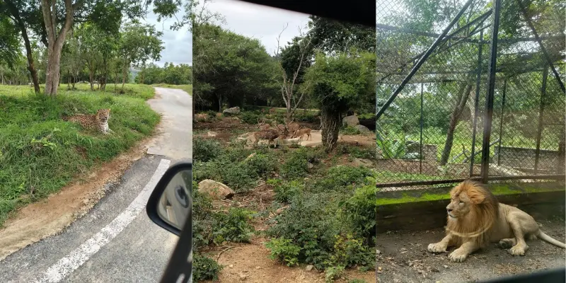 Bannerghatta Biological Park View View of Bannerghatta biological park