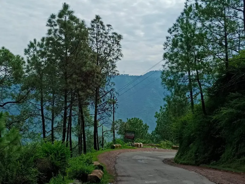Visit barog hills near chandigarh