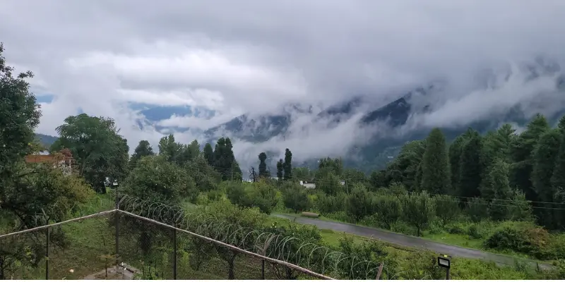 View of Batote hills