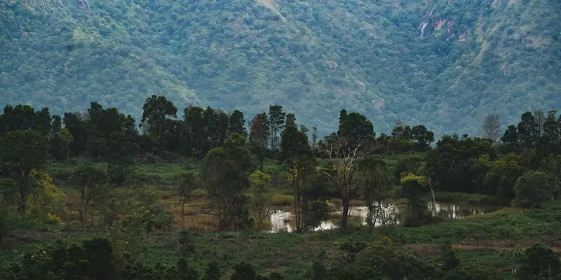 Bellikkal Lake Hill Station Visit Bellikkal hill station