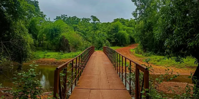 View of Bhimgad Wildlife Sanctuary