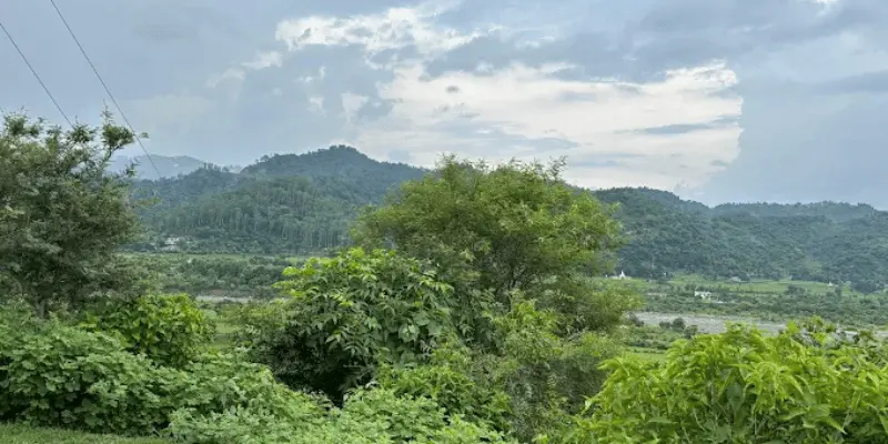 View of Bir Shikargarh sanctuary