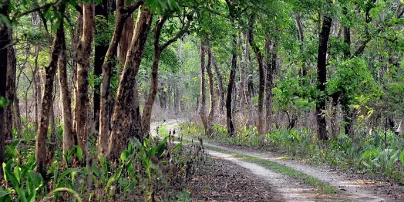 Burachapori Wildlife Sanctuary View View of Burachapori wildlife sanctuary