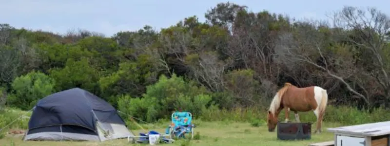 Camping In The Wild Camping in Wild