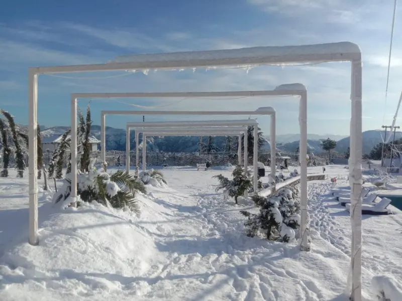 Visit chail hills near chandigarh