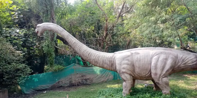 View of Chhatbir Zoo