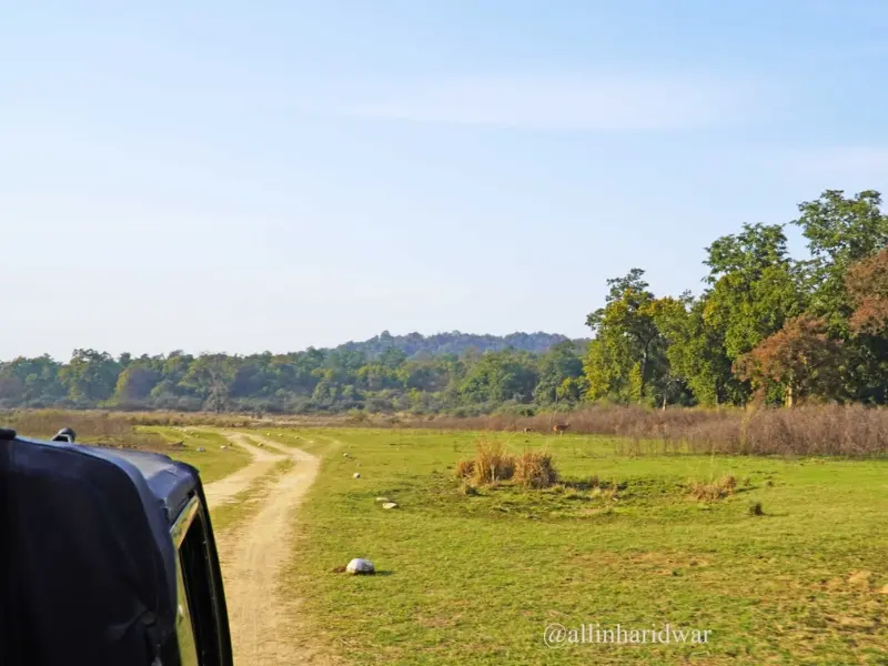 Visit chilla range near haridwar