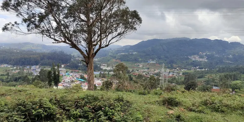 Coonoor Hill Station Visit Coonoor hill station