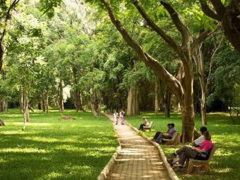 Cubbon Park Near Bangalore Visit Cubbon Park near Bangalore
