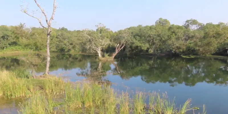 Darjaniya Lake View View of Darjaniya lake