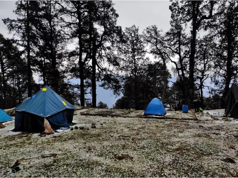 Summer view of Dayara Bugyal Trek