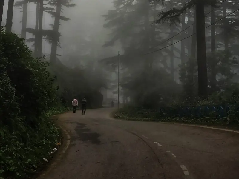 visit dhanaulti near haridwar