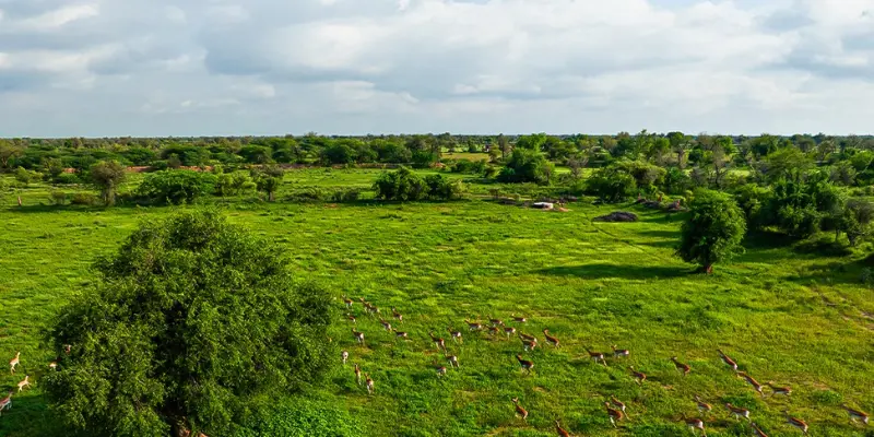 View of Dhawa Doli Wildlife Sanctuary