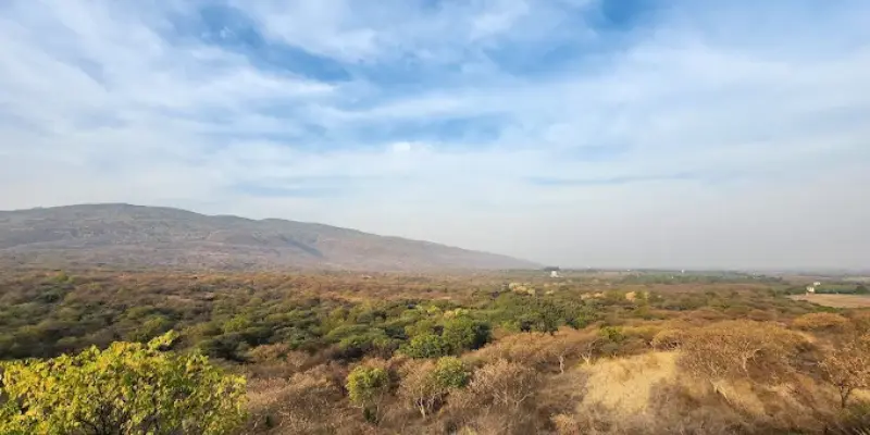 View of Girnar Safari Stop Point