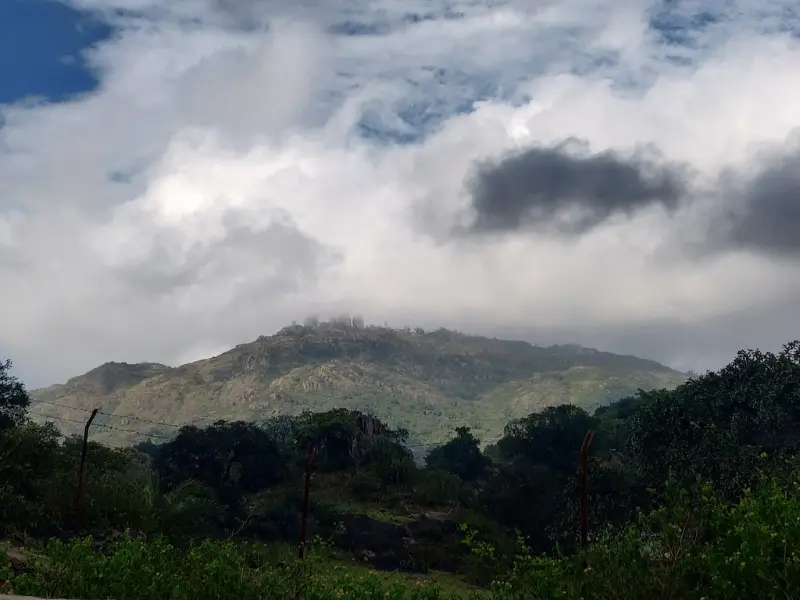 Visit Guru Shikhar hill station