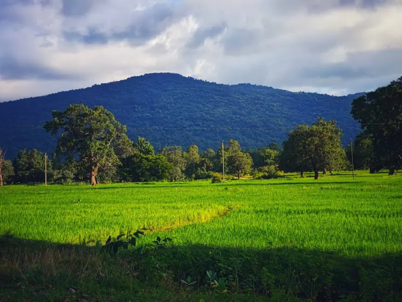 Views of hill stations near Bhubaneswar