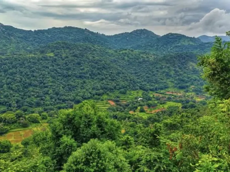 Javadi Hill station near Chennai