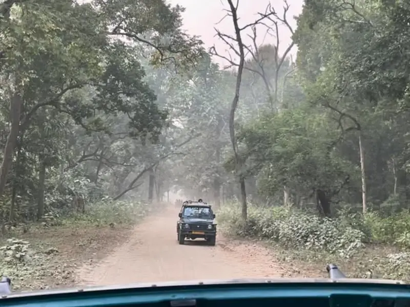 Visit Jim Corbett National Park near Nainital