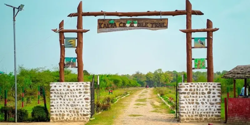 View of Kakra crocodile park