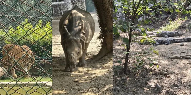 Kanpur Zoological Park View View of Kanpur zological park