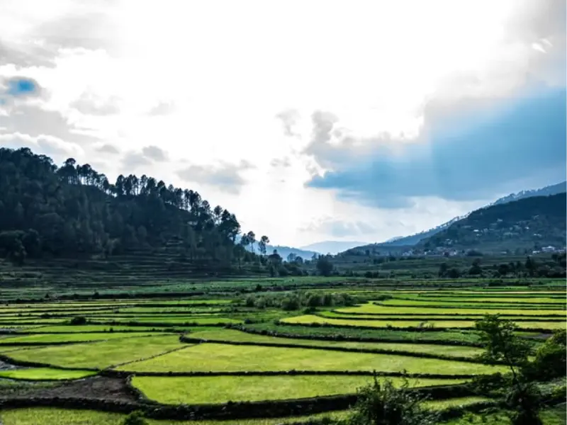 Kausani Hill Station View Visit Kausani Hill stations