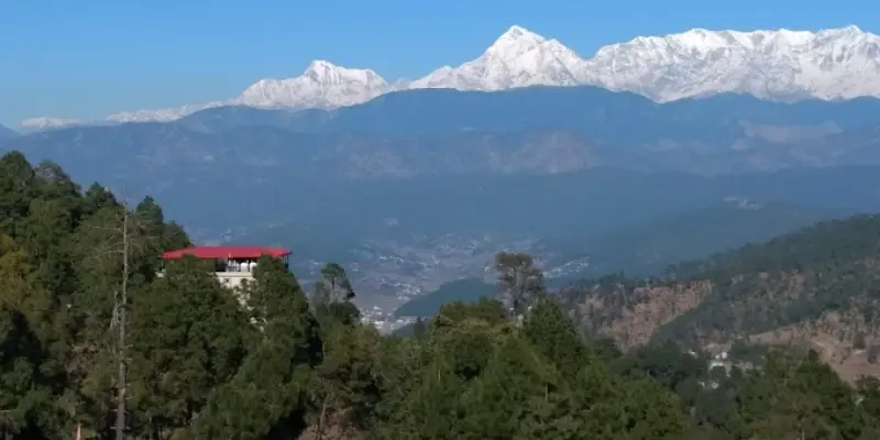 View of Kausani Tea Estate