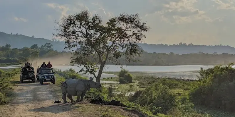 View of Kaziranga national park