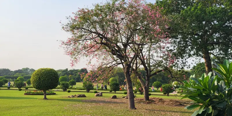 View of Keoladeo Ghana National Park