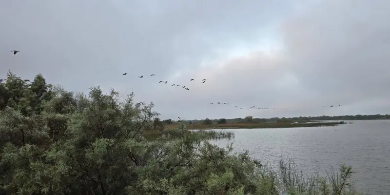 Khijadiya Bird Sanctuary View 1 View of Khijadiya bird sanctuary
