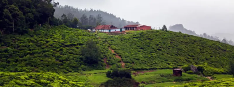 Kotagiri Tamil nadu
