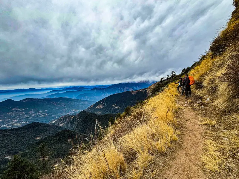 kauri pass Monsoon trek