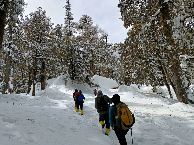 Spring Trek kuari pass