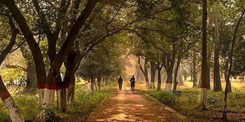 View of Kumaramangalam Park