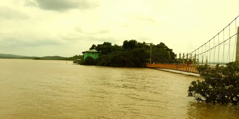 View of Laknavaram forest