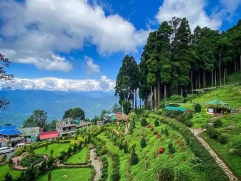 Lamahatta Hill Station Visit Lamahatta hill station