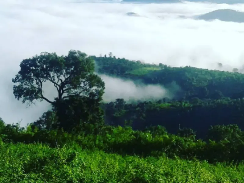 Visit Lambasingi hills near Hyderabad
