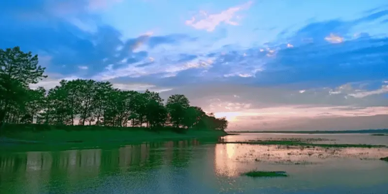 Laokhowa Wildlife Sanctuary View View of Laokhowa wildlife sanctuary