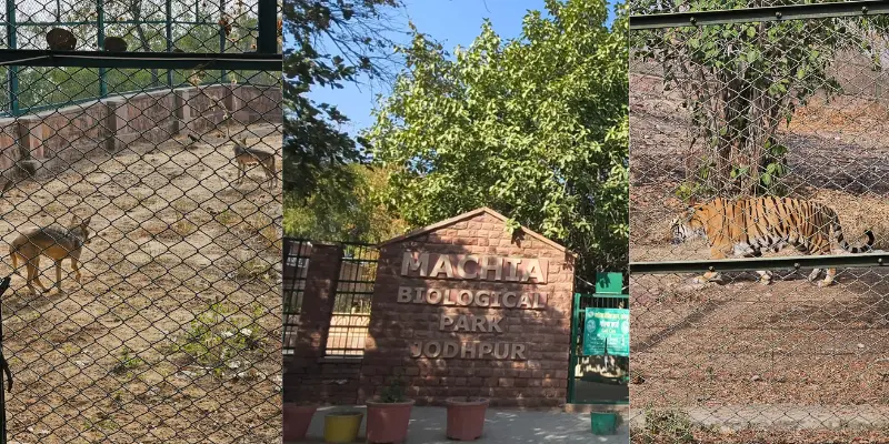 View of Machia Biological Park