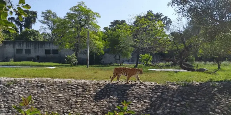 View of MAhendra Chaudhary Zoolgical park