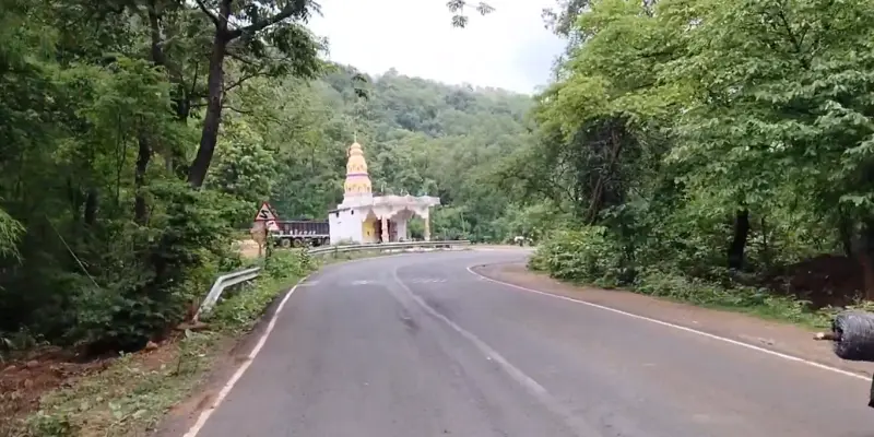 View of Malewada Forest