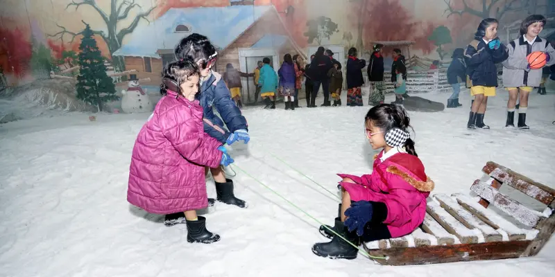 View of Maniar's Wonderland