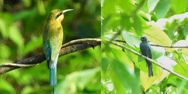 Marat Longri Sanctuary Diphu Views View of Marat Longri Sanctuary Diphu