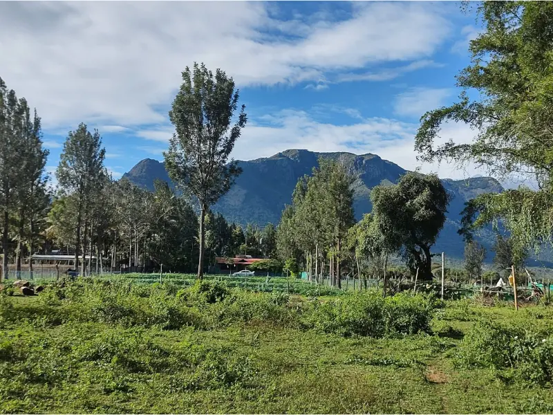 Masinagudi Hill Station Visit Masinagudi hill station